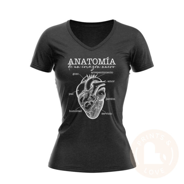 Anatomía de un Corazón Nuevo